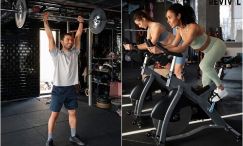 Cardio vs. Strength Training — Which Should You Prioritize